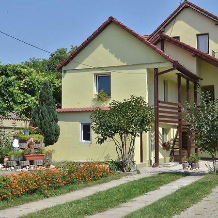 Vila Bel Ami Hotel Şelimbăr Ruang foto