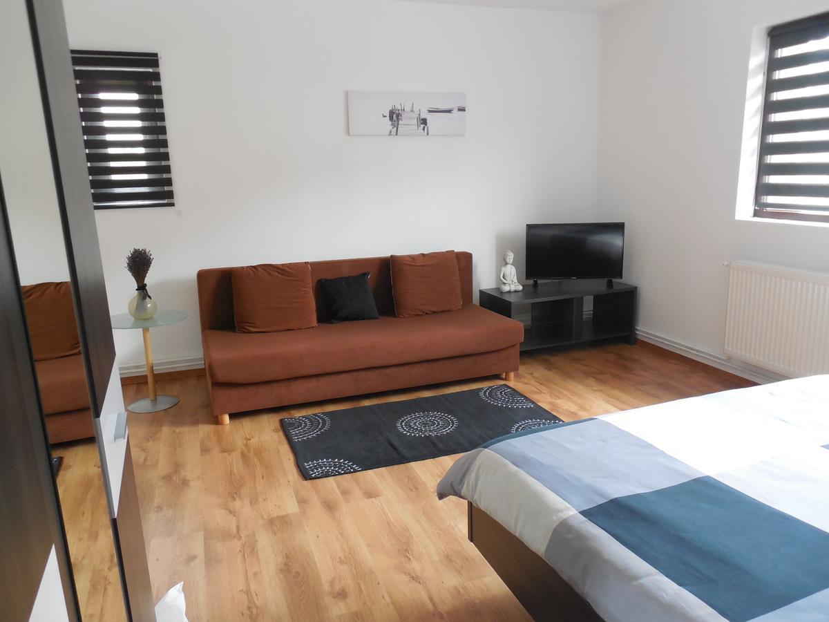 Vila Bel Ami Hotel Şelimbăr Bagian luar foto